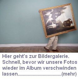 2Hier geht's zur Galerie